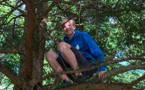 Latest news » Sunday afternoon in the forest